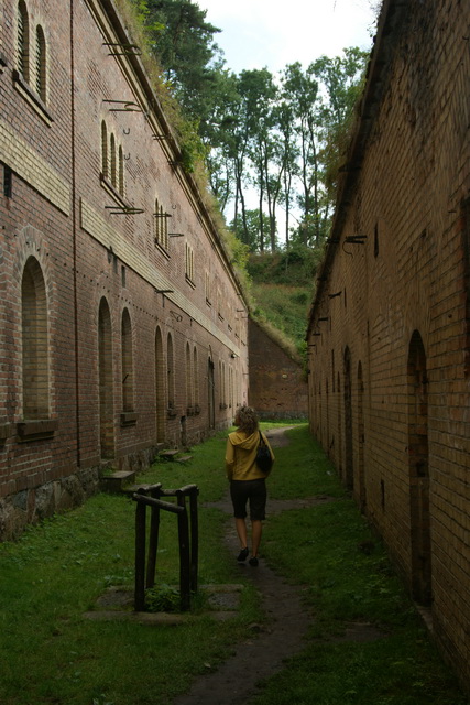 DSC06225