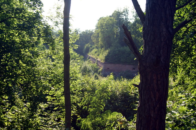 DSC06234