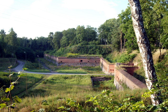 DSC06235