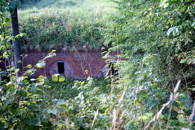 DSC06236