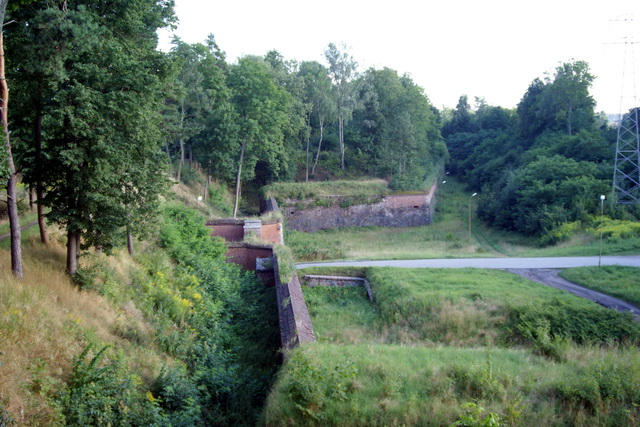 DSC06238