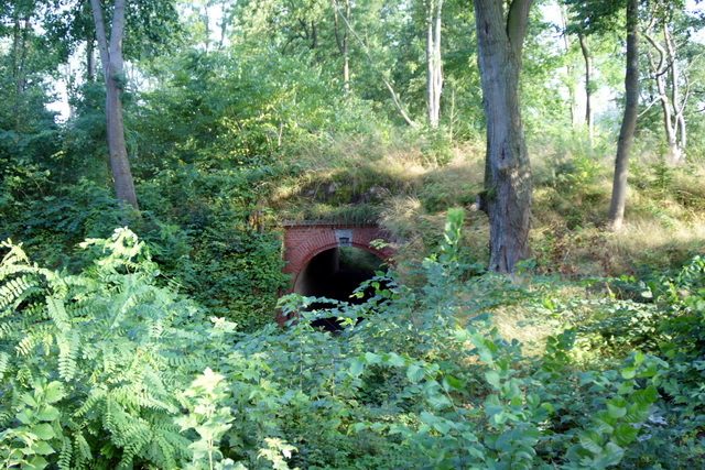 DSC06239