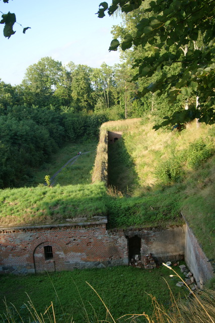 DSC06244