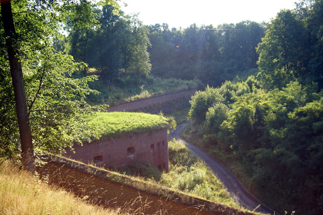 DSC06245