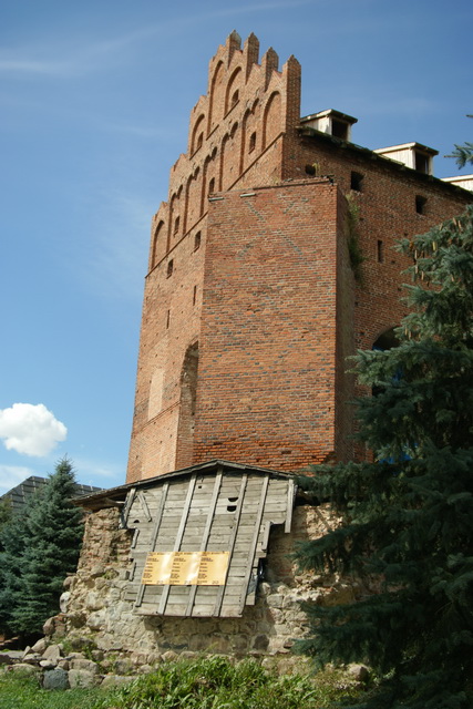 DSC06287