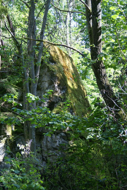 DSC06291