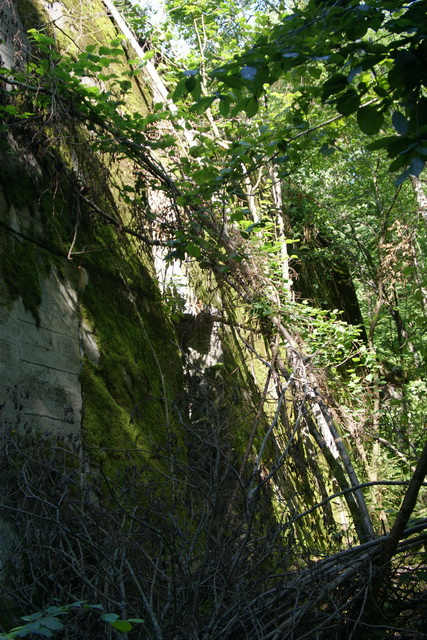 DSC06293
