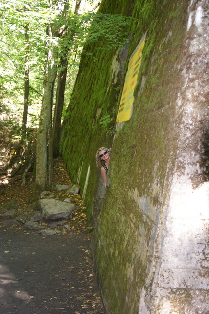 DSC06295