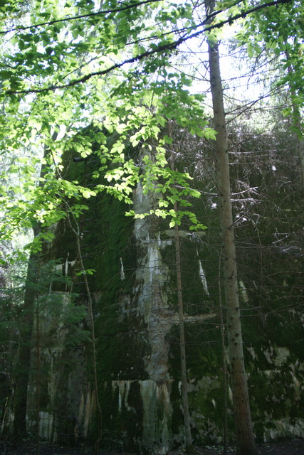 DSC06302