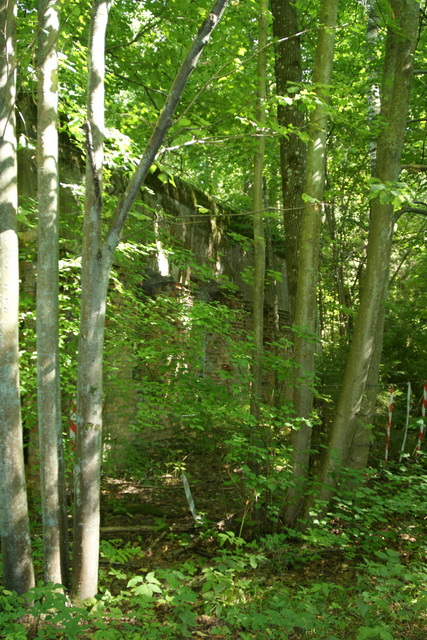 DSC06304
