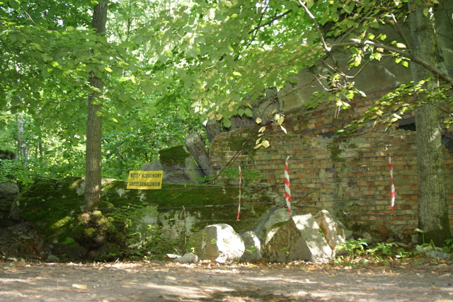 DSC06305