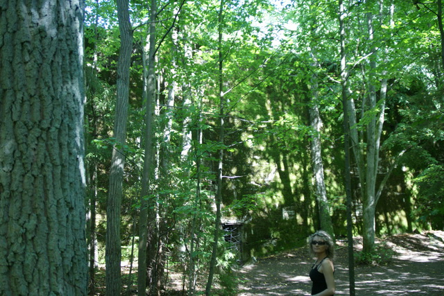 DSC06310