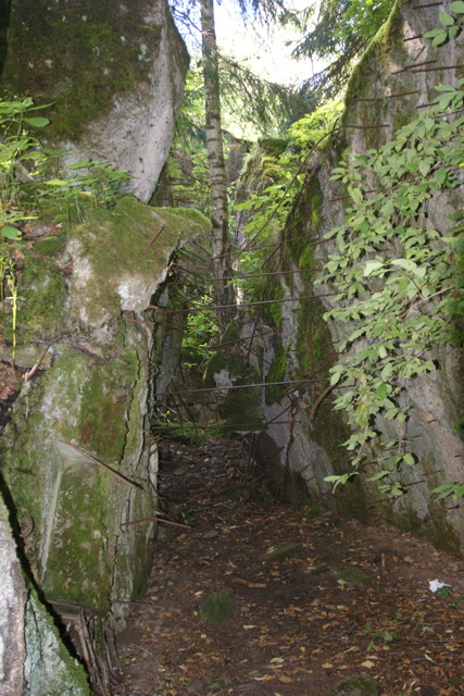 DSC06317