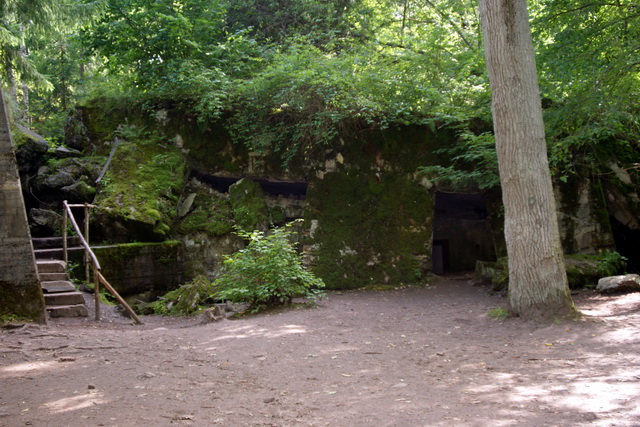 DSC06325