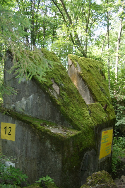 DSC06331