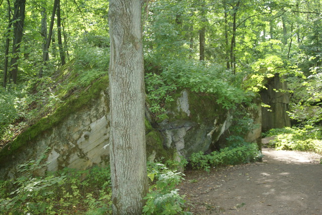 DSC06334