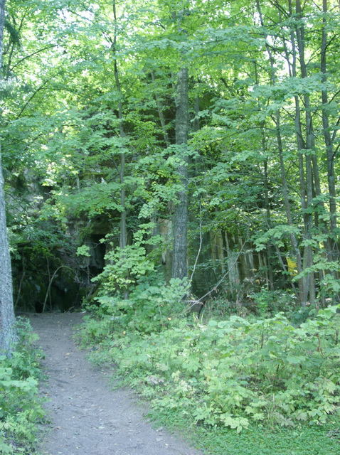 DSC06343