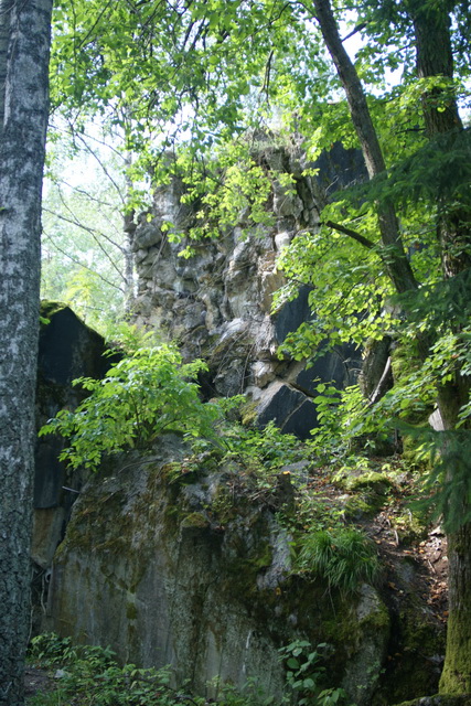 DSC06345