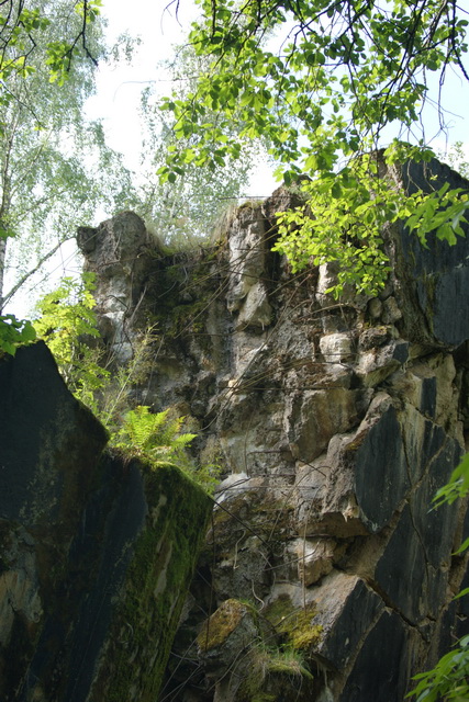 DSC06347