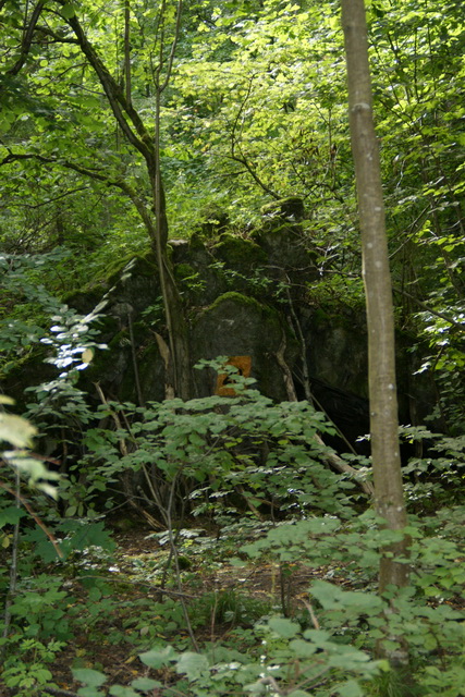 DSC06355