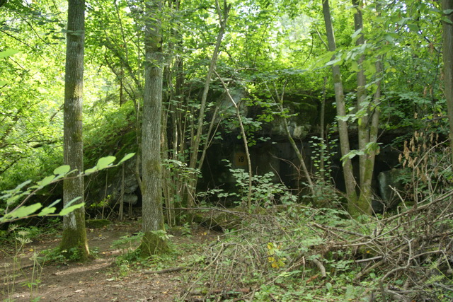 DSC06356