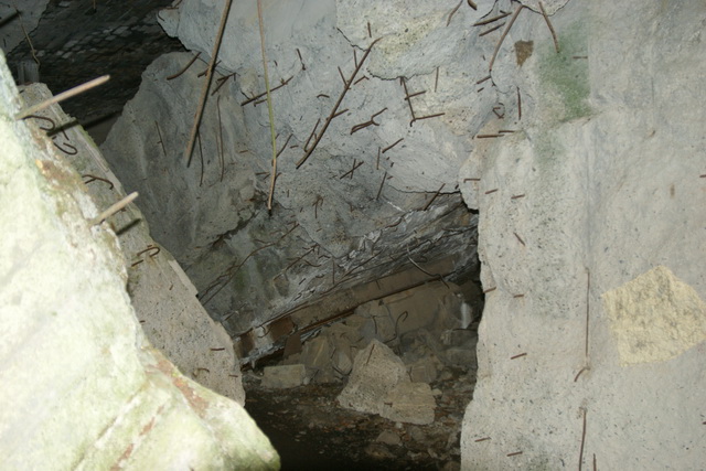 DSC06361