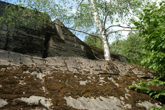 DSC06362