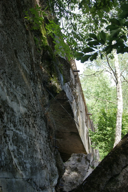 DSC06363
