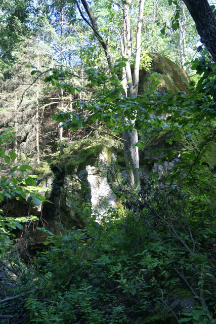 DSC06375