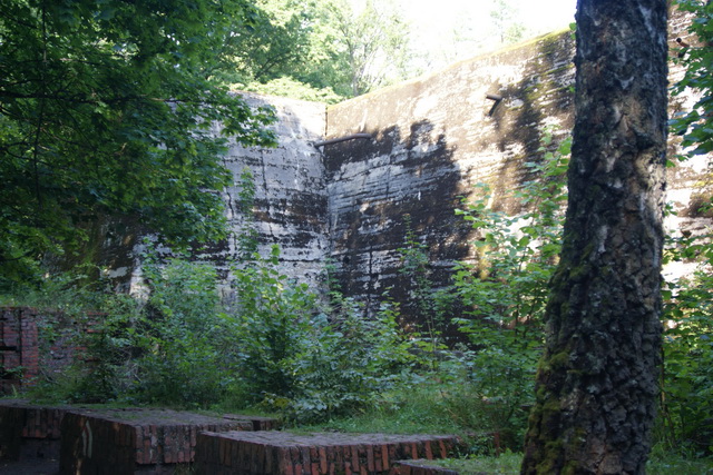 DSC06377