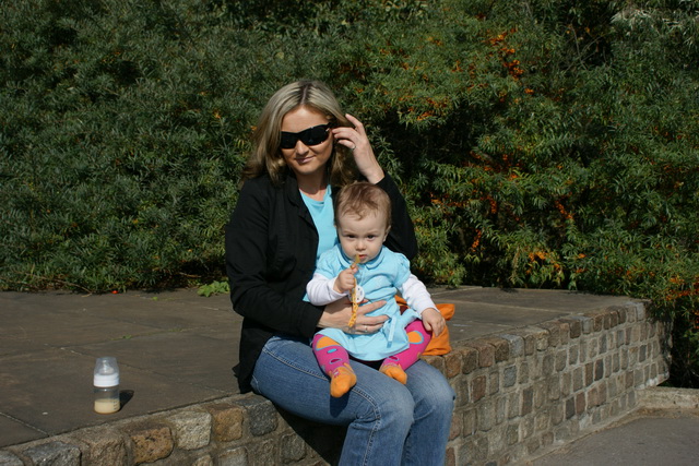 Rok 2009