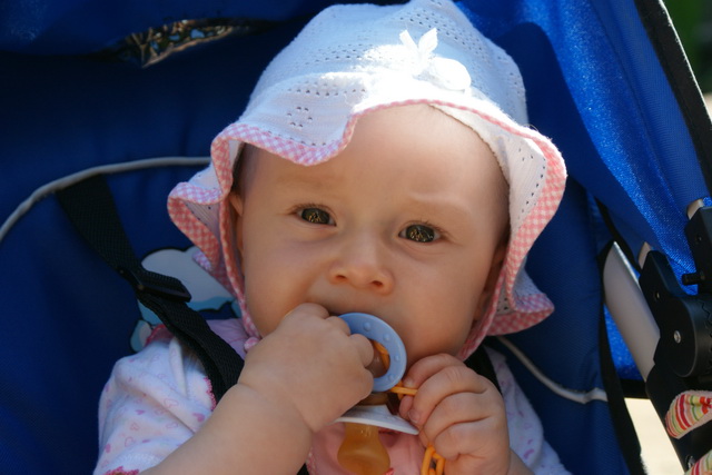 Dsc09261