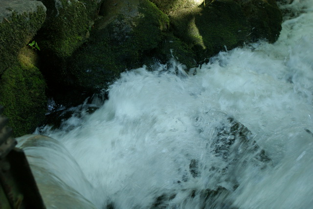 Dsc09285