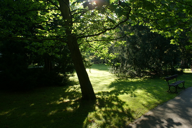 Dsc09370