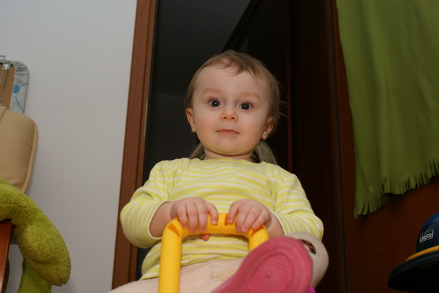 Dsc00175