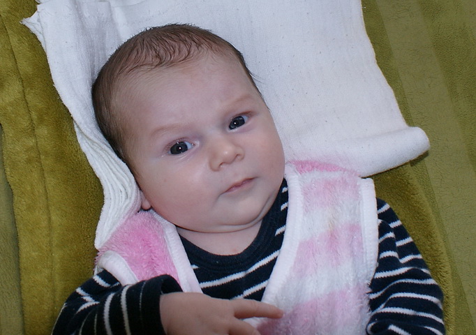 DSC07393