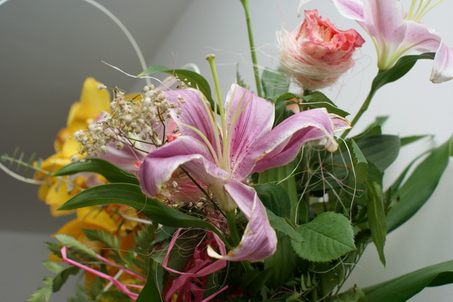 Dsc00477