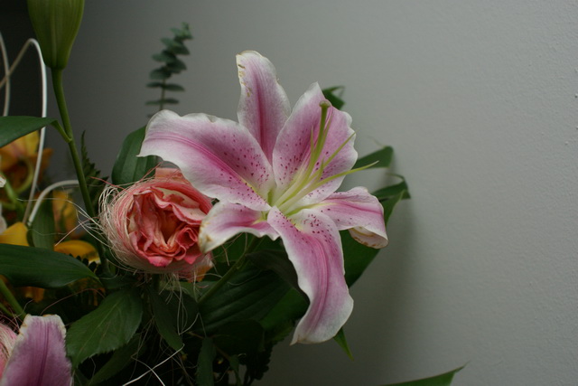 Dsc00478