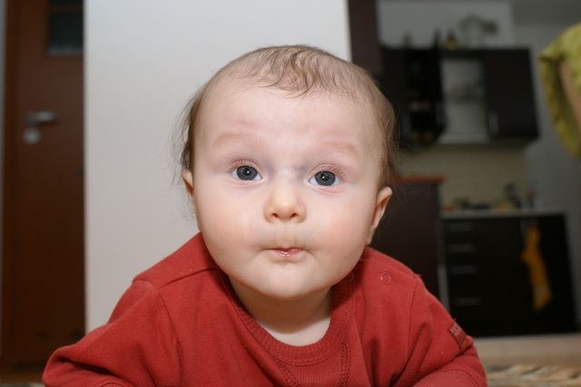 Dsc08583