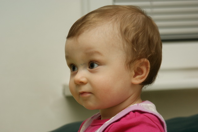 Dsc00055