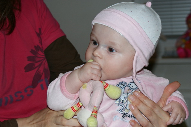 Dsc08283