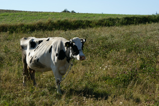 Dsc09630