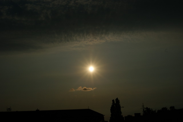 DSC01254