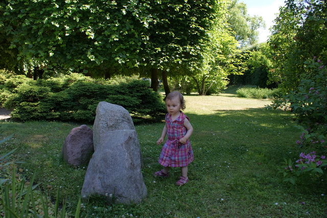 DSC01361