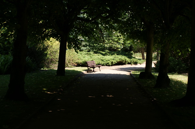 DSC01362