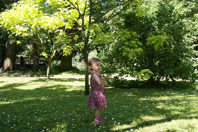 DSC01388