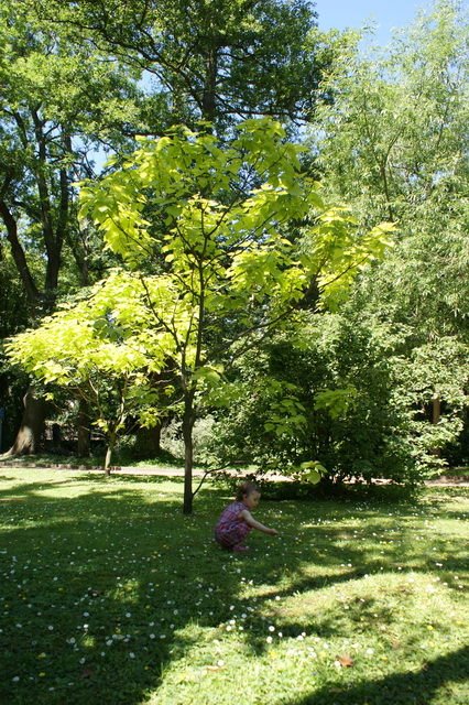 DSC01390