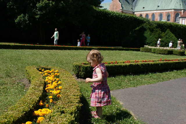 DSC01438