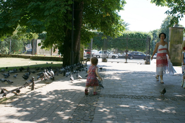 DSC01462