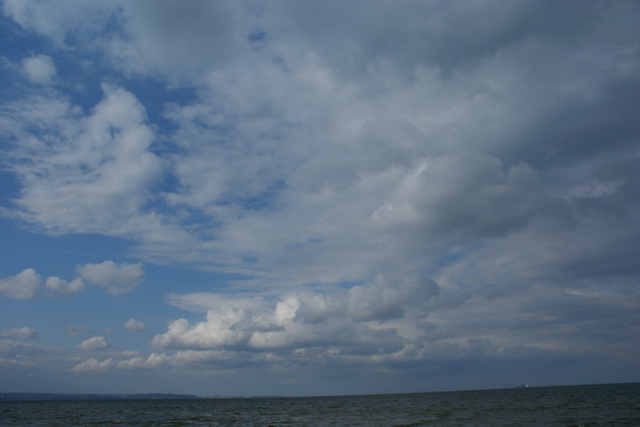 DSC01565
